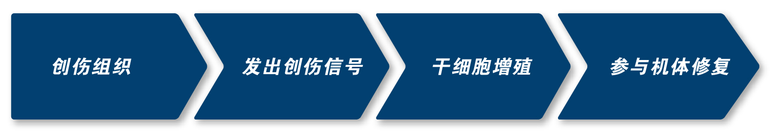 图层-1.jpg